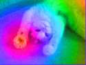 1373398281796.gif