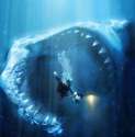 shark shit.jpg