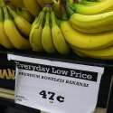 Safe Bananas.jpg
