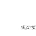 deet 219.jpg