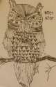 hoot hoot.jpg