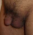 very small and hairy penis.jpg