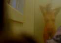 snapshot333.jpg