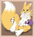 1247289_firefly8083_renamon.png