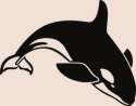 Shamu-the-Killer-Whale.png