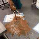 dog puking.jpg