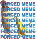 gif71.gif