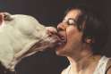 chris-sembrot-humans-kissing-dogs-amazing-photos__oPt.jpg