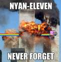 nyan-eleven.jpg
