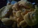DSC00005.jpg