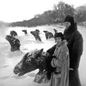 Frozen+horses+horses+that+froze+while+trying+to+cross+this_b3490b_4035642.jpg