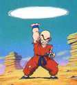 krillin8.jpg