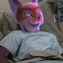 Nick's fw.jpg