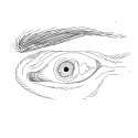 gurpgorps_eye.png