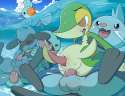 904469 - BAGINAZARD Dewott Mudkip Porkyman Riolu Snivy Tricksta marshtomp.png