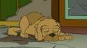 dog-640x3841.png