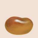bean.png