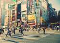 CATPLE_WALLPAPERS_786.jpg