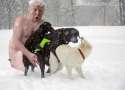 snow-dogs1.jpg