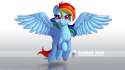 d3c82cc3c1238e718353d30d5e1f555a-d4h2bpf.jpg