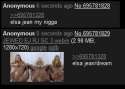 (0) -b- - No porn webm Porn webm.png