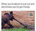 FB_IMG_1468978155526.jpg