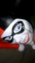 Screenshot_2016-07-21-22-28-53.png