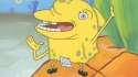 sponge.jpg