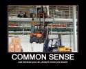 common sense.jpg