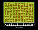 optical illusion.jpg