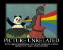 panda.jpg