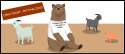petting_zoos.png