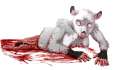 1396654867.nekochan90_kill_road.jpg