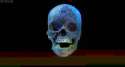 skultula.gif