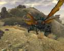 Cazador_up_close_and_personal.jpg