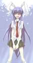 blush bunny_ears hirafumi long_hair necktie purple_hair rabbit_ears red_eyes skirt touhou very_long_hair-d59edd1aba3a9c248e76331186734950.jpg