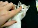 boop.jpg