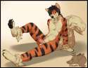 1452891135.ekbellatrix_749small.png