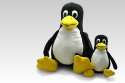 tux and son.jpg