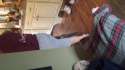 20150403_143206.jpg