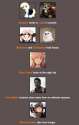2016-07-23 04_29_31-BrantSteele Hunger Games Simulator.png