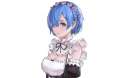 rem26.jpg