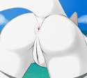 sharkbutt.jpg