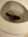 FB_IMG_1448145349764.jpg