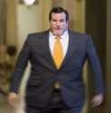 the ultimate cruz.jpg