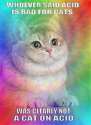 CatOnAcid.jpg