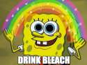 spdbleach.png