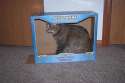Cat-At.jpg