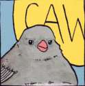 disgruntledbird.png