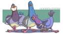 goodfeathers_by_sibsy-d7nk42v.jpg